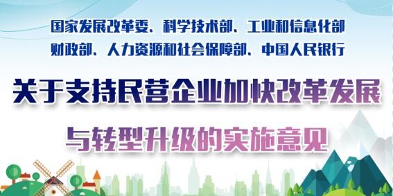 关于支持民营企业加快改革发展与转型升级的实施意见