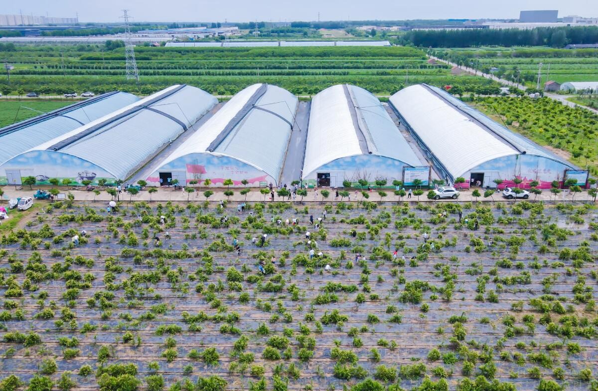 【寻找最具价值品牌】山东稷丰农业科技股份有限公司